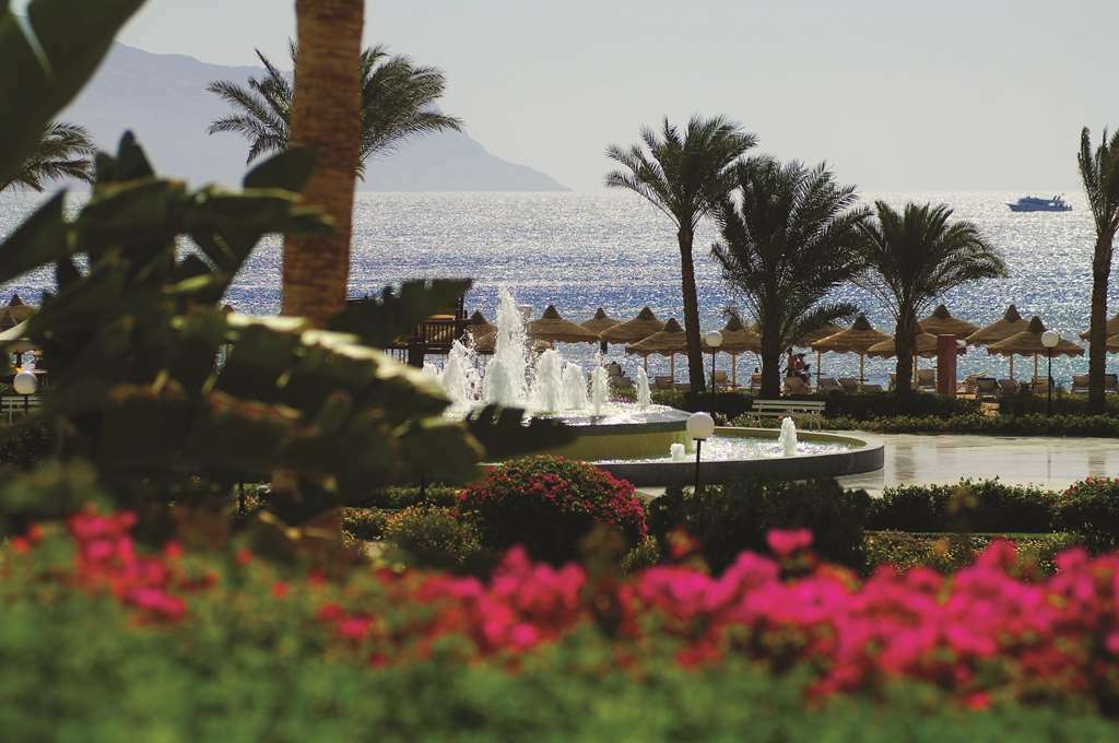 Baron Resort Sharm El Sheikh Restaurant foto Hilton Sharm El Sheikh Resort